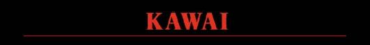 KAWAI LOGO 2